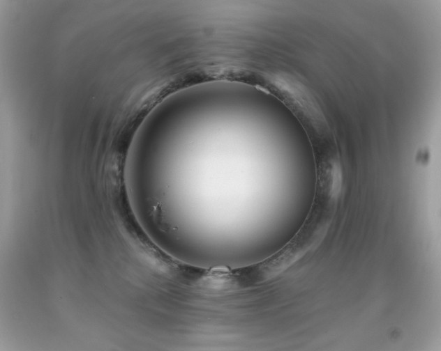X0000091850280200709051153