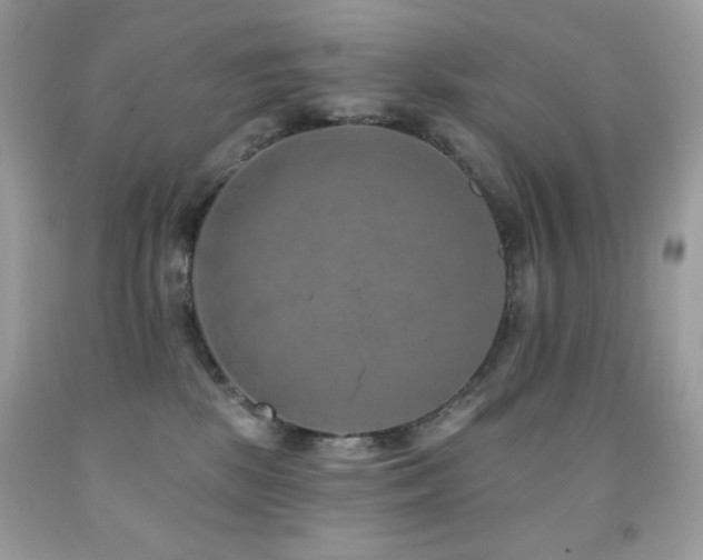 X0000091850281200709051153