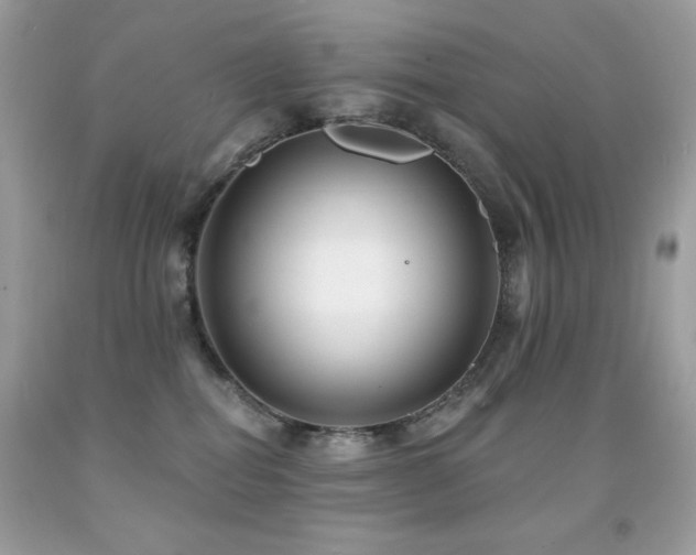 X0000091850282200709051153