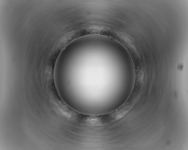 X0000091850283200709051153