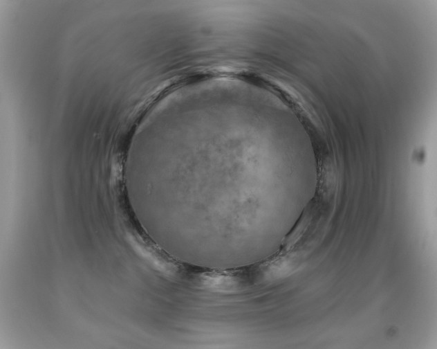 X0000091850284200709051153