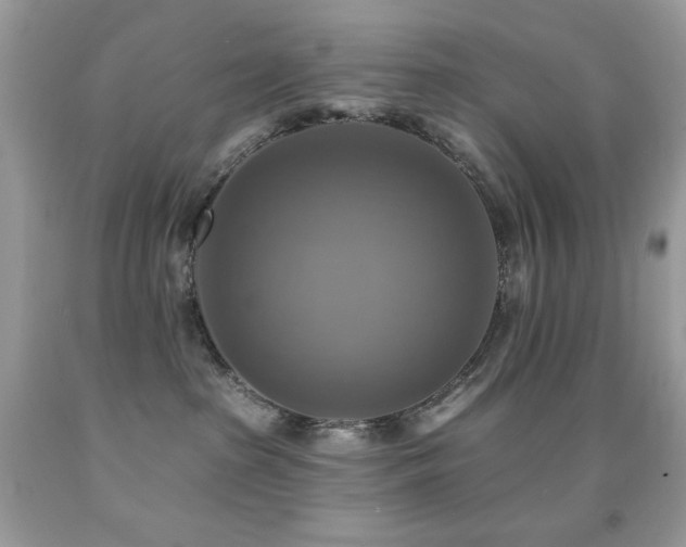 X0000091850285200709051153