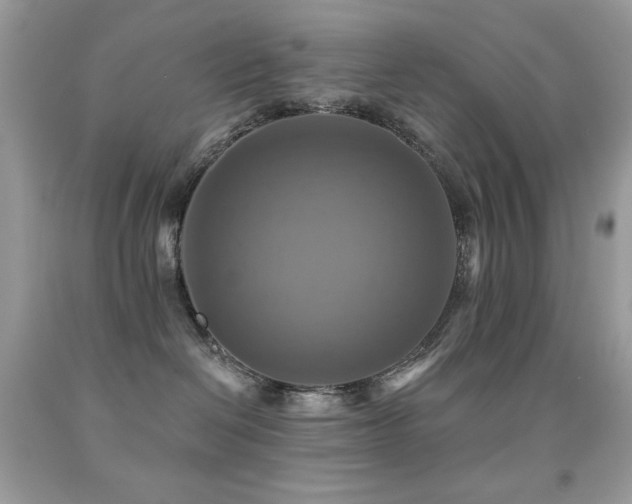 X0000091850286200709051153