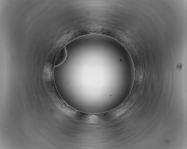 X0000091850287200709051153