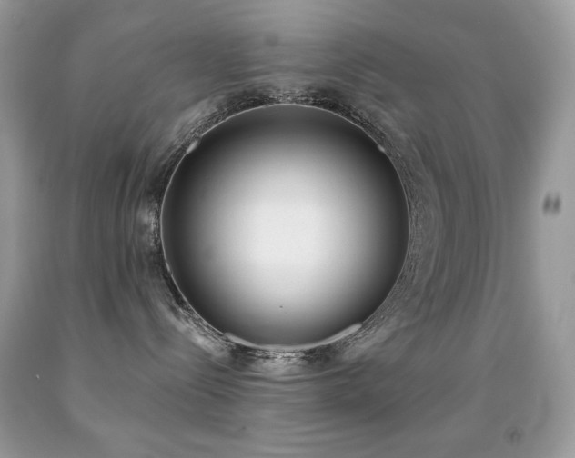 X0000091850288200709051153