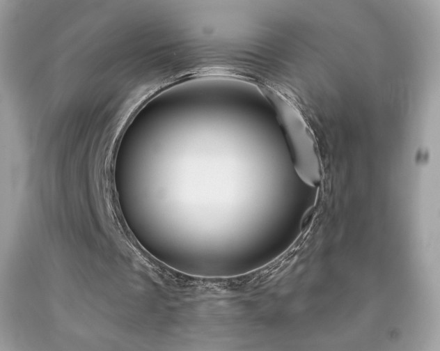 X0000091850289200709051152