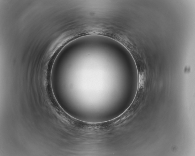 X0000091850291200709051152
