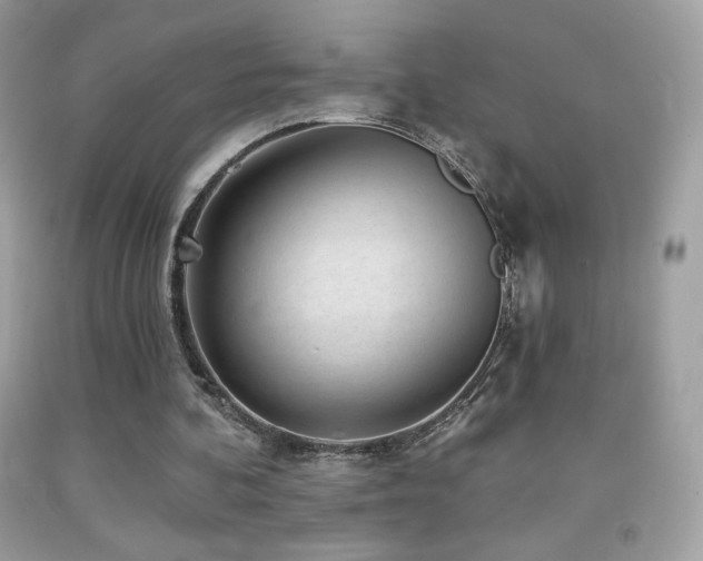 X0000091850292200709051152