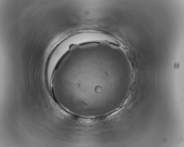 X0000091850293200709051152