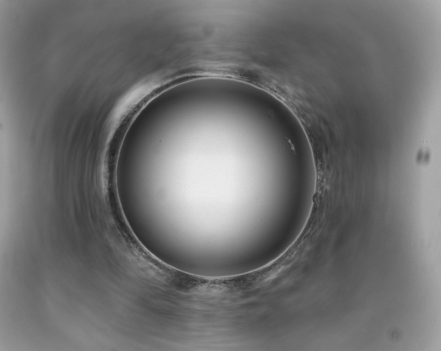 X0000091850294200709051152