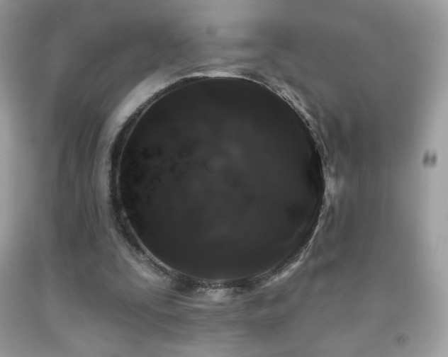 X0000091850295200709051152