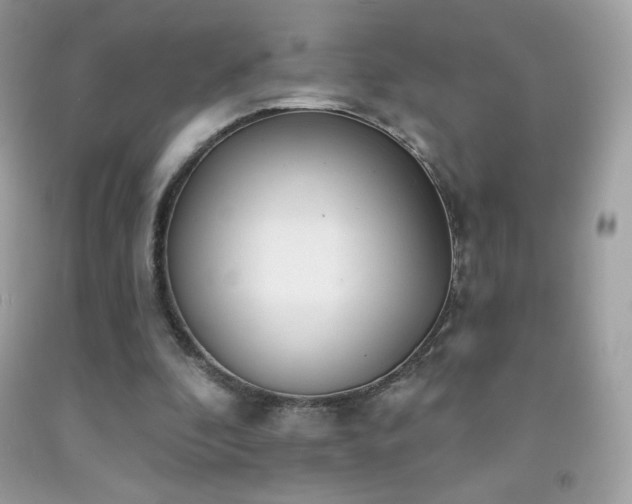 X0000091850296200709051152
