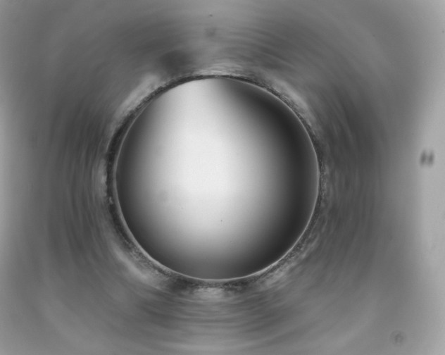 X0000091850298200709051152
