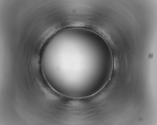 X0000091850300200709051152
