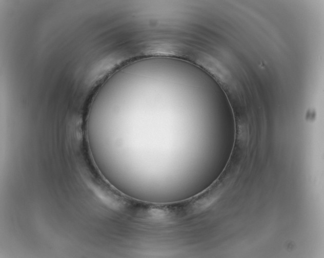 X0000091850302200709051152