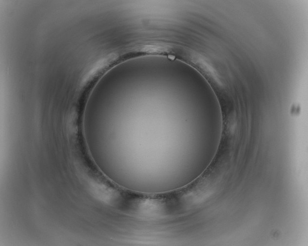 X0000091850303200709051152