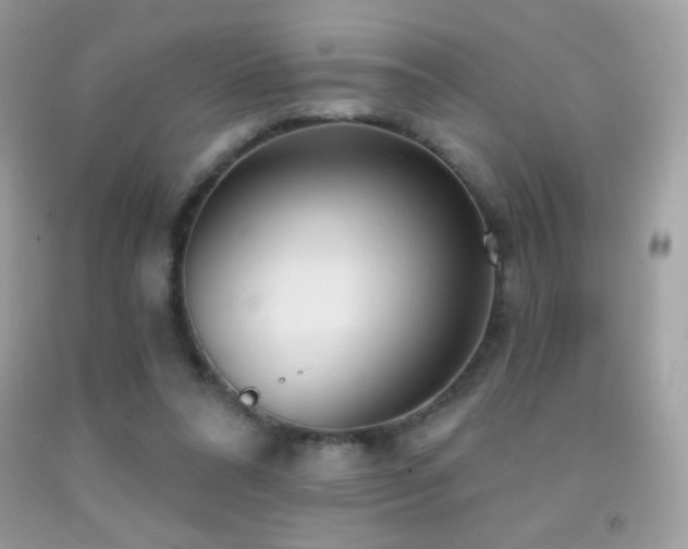 X0000091850304200709051152