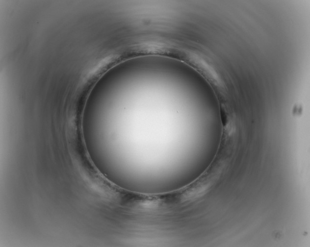 X0000091850306200709051152