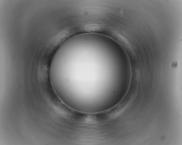 X0000091850308200709051152