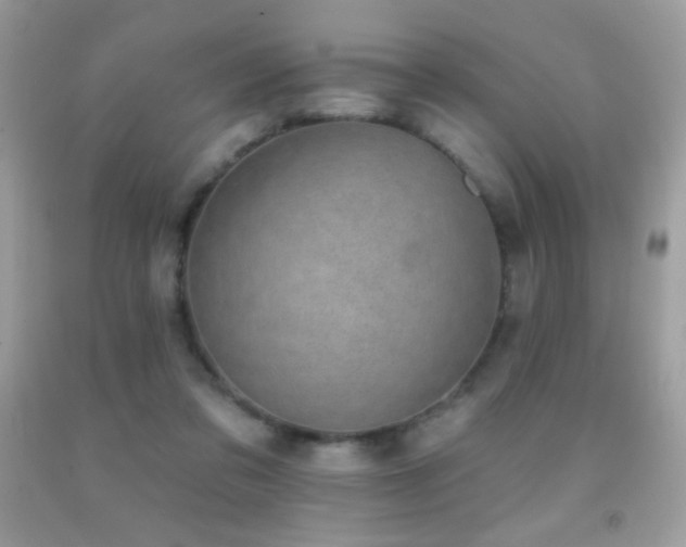 X0000091850309200709051152