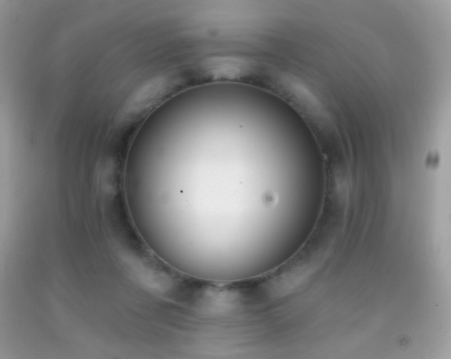 X0000091850311200709051152