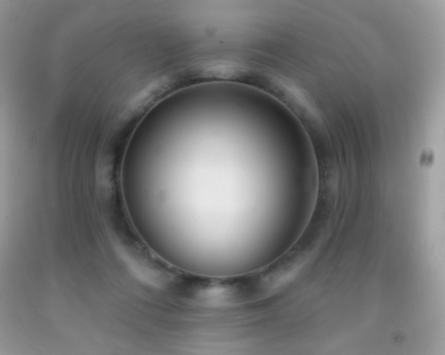 X0000091850312200709051152