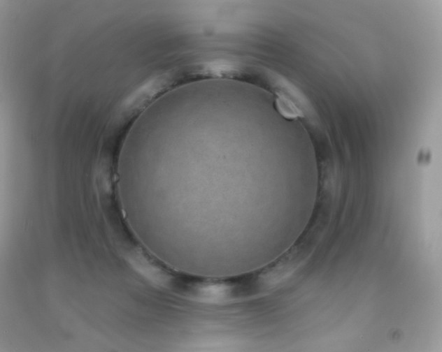 X0000091850313200709051152