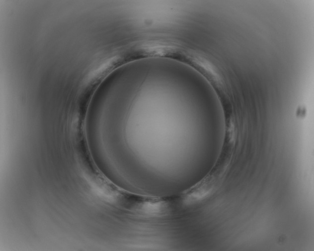 X0000091850314200709051152