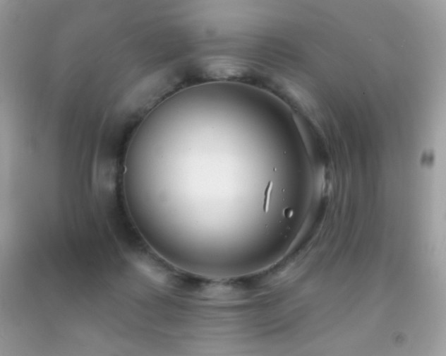 X0000091850315200709051152
