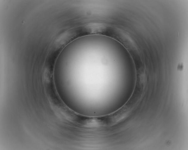X0000091850316200709051152