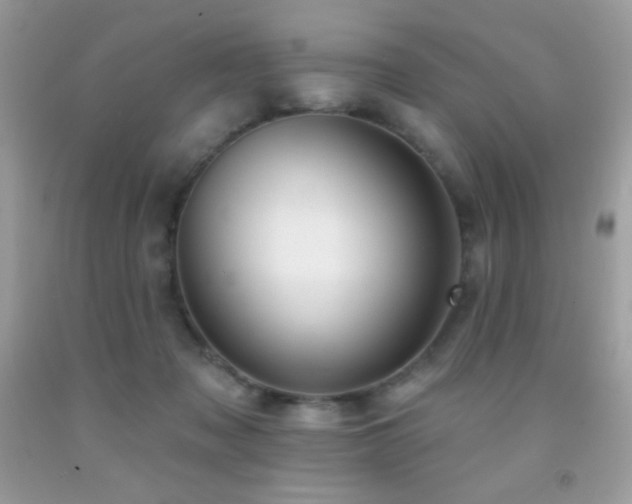 X0000091850317200709051152