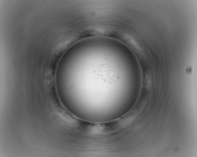 X0000091850318200709051152