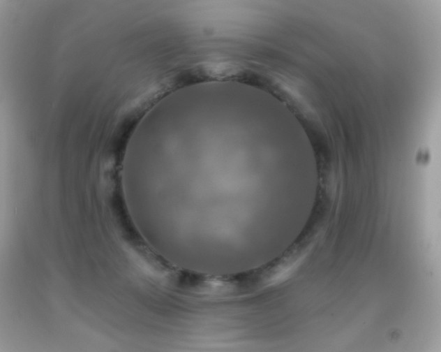 X0000091850319200709051152