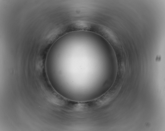 X0000091850320200709051152