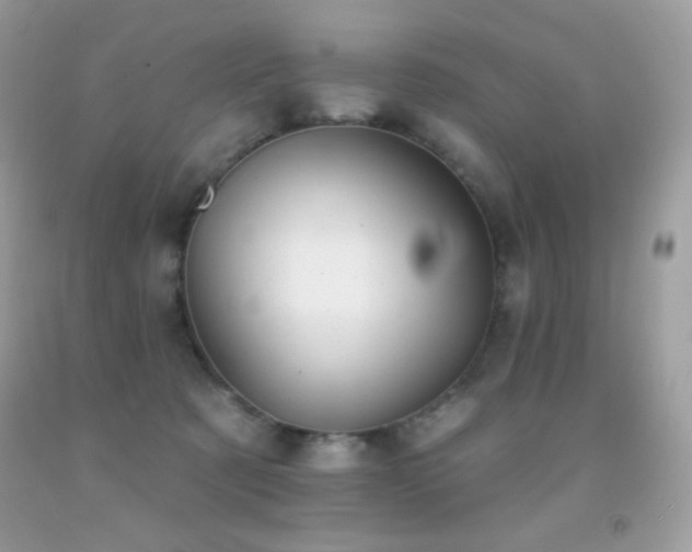 X0000091850321200709051152