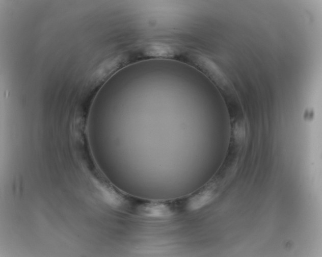X0000091850322200709051152