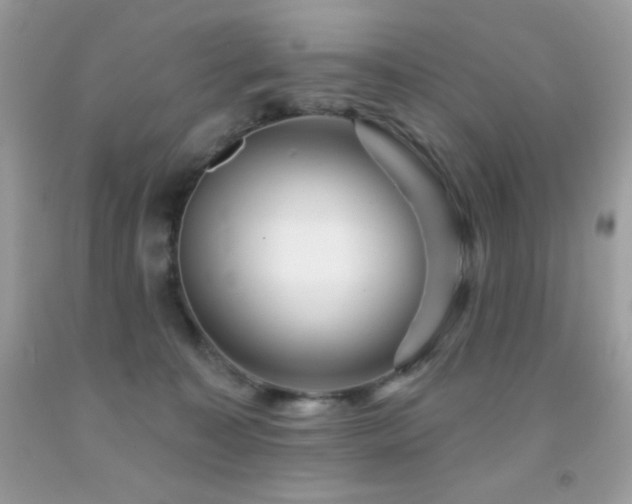 X0000091850323200709051152