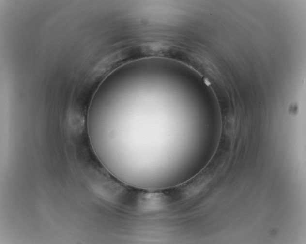 X0000091850324200709051152