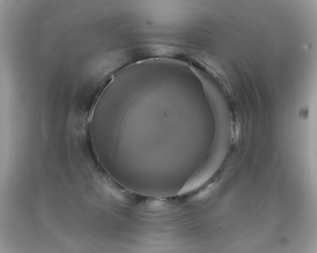X0000091850325200709051152