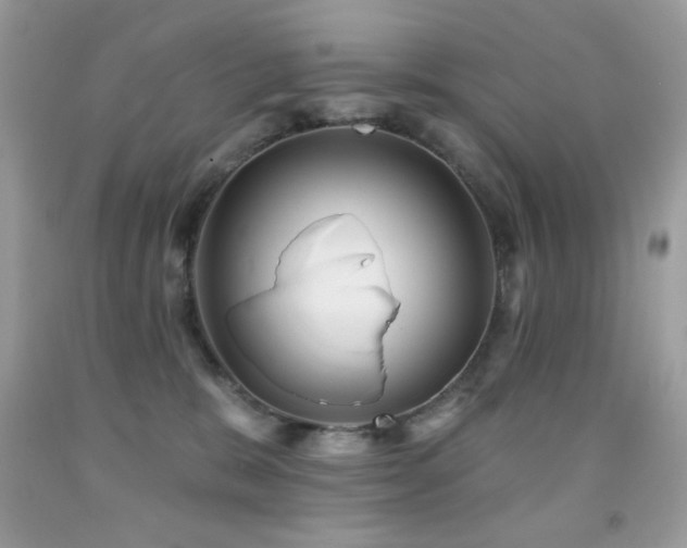 X0000091850327200709051152