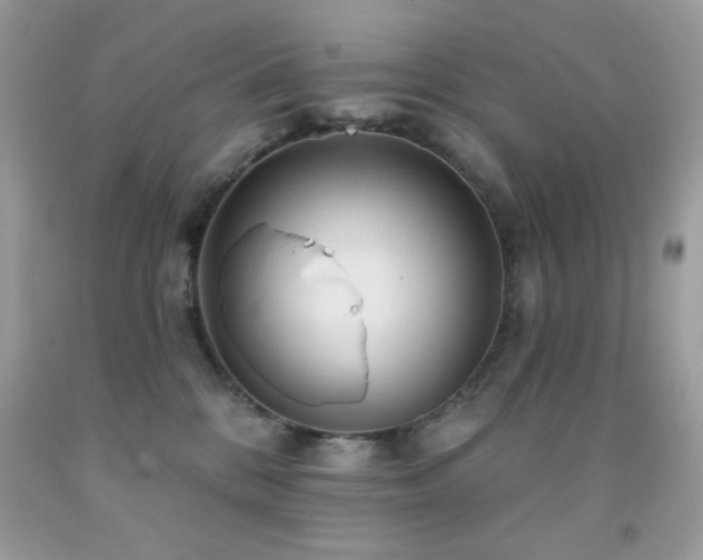 X0000091850328200709051152