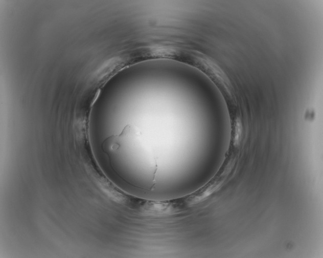X0000091850329200709051152
