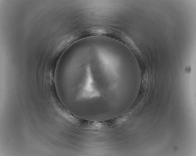 X0000091850330200709051152