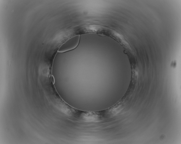 X0000091850331200709051152