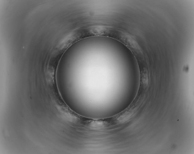 X0000091850332200709051152