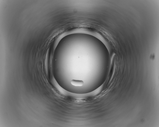 X0000091850333200709051152