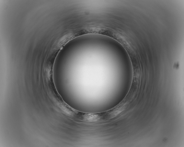 X0000091850334200709051152