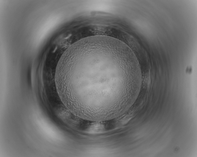 X0000091850335200709051152