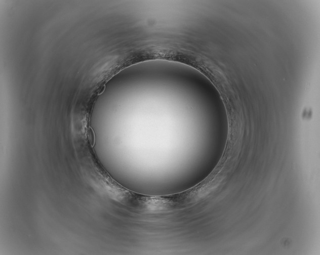 X0000091850336200709051152
