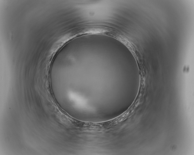 X0000091850337200709051151